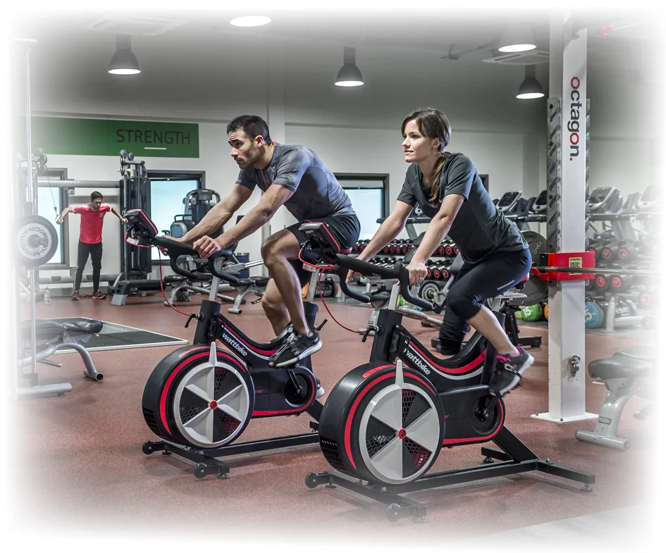 The Choice of the Elite Since 2008